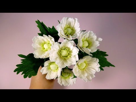 Видео: Очень красивые ХРИЗАНТЕМЫ из бумаги.  Мастер-класс. Цветы из гофрированной бумаги.