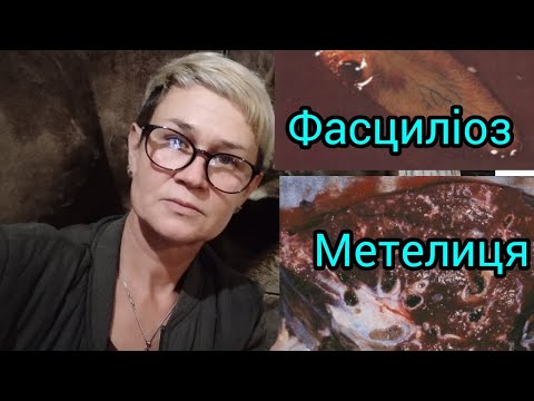 Видео: ОБДУВАЄТЬСЯ КОРОВА❓БЕЗПРИЧИННИЙ ПРОНОС ВЗИМКУ❓ Бездіяльність вбиває вашу корову☝️