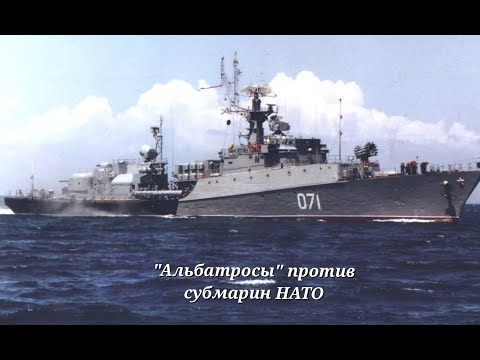 Видео: МПК-1124 "Альбатрос". Часть 1.