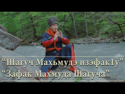 Видео: "Шагуч Махьмудэ изэфак1у" Зафак Махмуда Шагуча