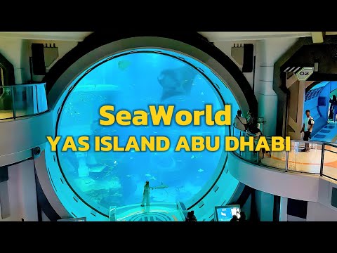Видео: SeaWorld Abu Dhabi 🐬 Самый большой аквариум в мире