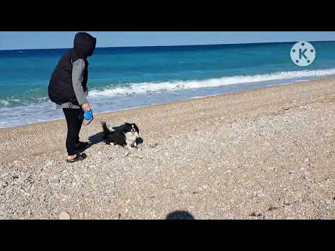 Видео: Как я провел лето