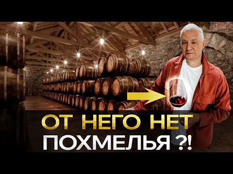 Видео: От какого Вина НЕ БОЛИТ голова и Почему?