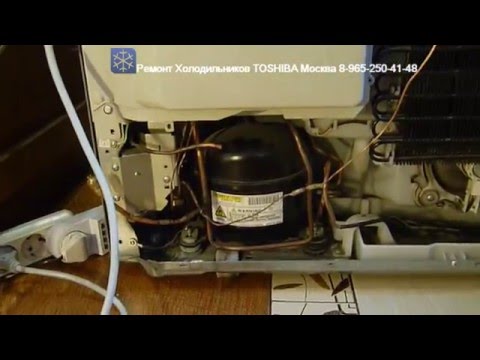 Видео: Ремонт Холодильников ТОШИБА TOSHIBA Москва 8-965-250-41-48 GR-L42FR GR-L40FR  Москва