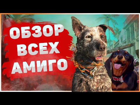 Видео: ГДЕ НАЙТИ ВСЕХ АМИГО? | ОБЗОР НАПАРНИКОВ FAR CRY 6 | Бумер, Чоризо, Олусо и другие.
