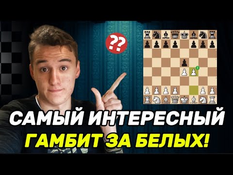 Видео: КОРОЛЕВСКИЙ ГАМБИТ! 5 ТОП-ЛОВУШЕК в ОДНОМ ДЕБЮТЕ!