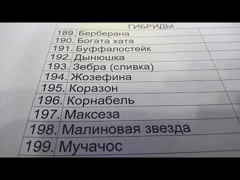 Видео: О заказе семян томатов! Для тех кому это интересно! 