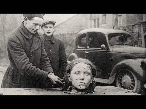 Видео: 120 Исторических фотографий, которых вы не найдете в учебниках