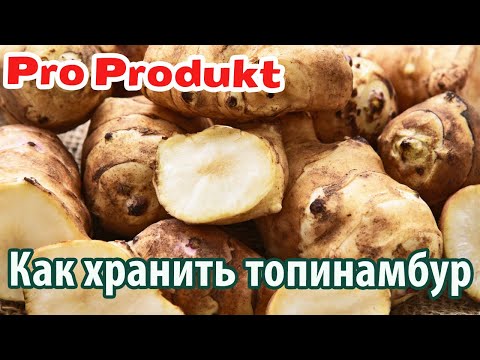 Видео: Как хранить топинамбур