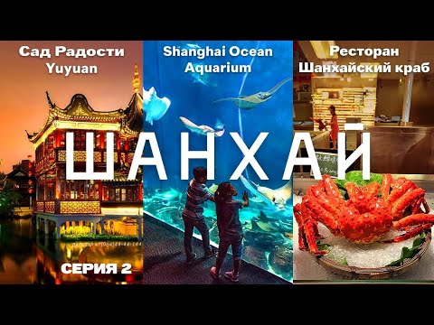 Видео: ТУРЫ В ШАНХАЙ! Сад радости Юйюань и Океанариум в Шанхае +7(964)44-44-144 Туры Шанхай из Владивостока