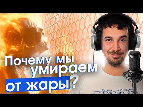 Видео: Охлаждаем город: жара в Москве и чудеса озеленения