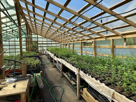 Видео: 8. Обзор питомника растений - заморозки, полив, контейнеры  и поломка Кракена!