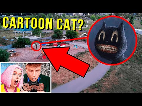 Видео: мой дрон наконец-то поймал CARTOON CAT в РЕАЛЬНОЙ ЖИЗНИ !