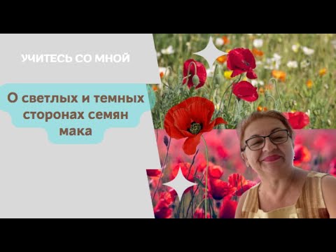 Видео: О светлой и темной сторонах семян мака