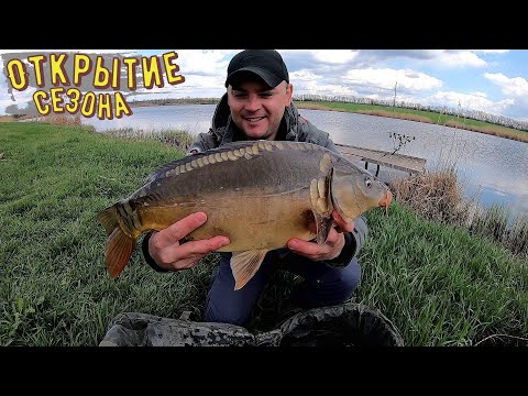 Видео: Открытие Карпового сезона 2021! Пошла жара!