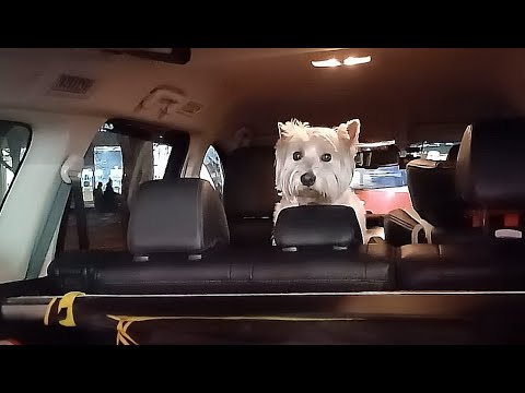 Видео: День с нами. Мужская распаковка.  Магазин для бедных???