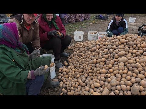 Видео: Девушки из Советского союза, это сила.