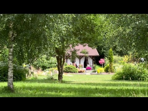 Видео: 03.07.2024 Сад 6 лет спустя. До и ПОСЛЕ.