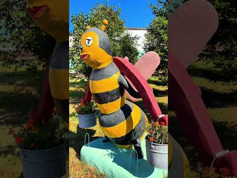Видео: КЛИМОВИЧИ