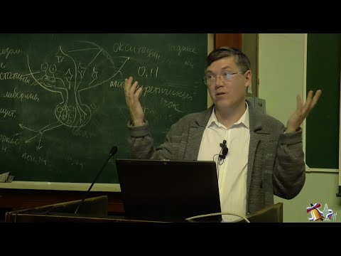 Видео: Мозг и удивление - Дубынин Вячеслав