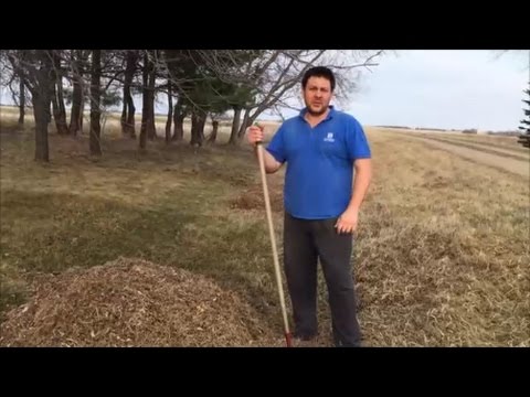 Видео: Канадский фермер  Неделя 11