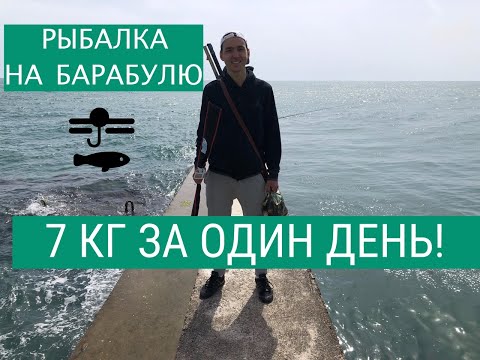 Видео: РЫБАЛКА В СОЧИ! КАК ЛОВИТЬ БАРАБУЛЮ ? СУМАСШЕДШИЙ РЕЗУЛЬТАТ ЗА ОДИН ДЕНЬ!