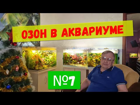 Видео: #7 Озон в аквариуме  / Аквариумистика с Геннадием Посейдонычем