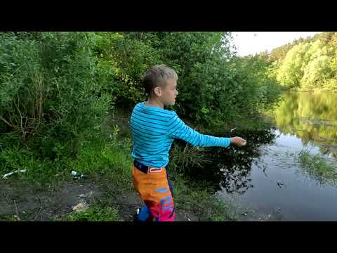 Видео: Карась на резинку очень просто и результативно.