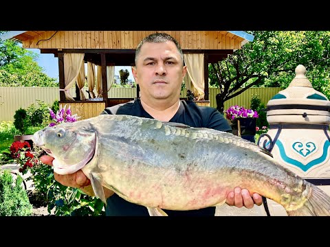 Видео: ШАШЛЫК из РЫБЫ / ДОМАШНИЕ УТКИ в КАЗАНЕ / Гости были в ШОКЕ! Казан кебаб. Рыба в тандыре.