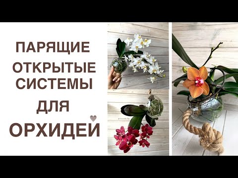 Видео: Парящие открытые системы для орхидей. Коллекция Ольги Самоненко.