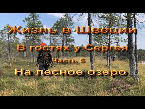 Видео: Жизнь в Швеции.  В гостях у Сергея.  Часть 5.  Лесное озеро среди болот.