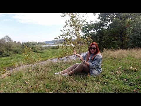 Видео: Колесим по краю: Кокшамары (Яков и Андрей Эшпай, гармошка Ключникова-Палантая, крестьянский двор)