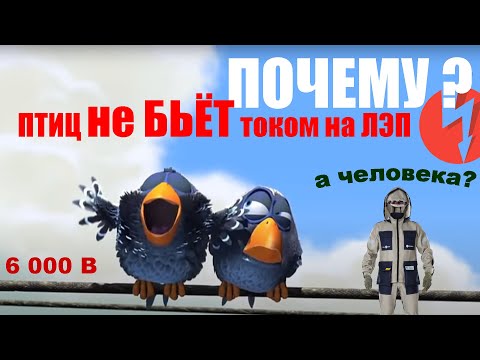 Видео: Почему птицу  на проводе ЛЭП не бьет током? А человека  будет бить?#энерголикбез