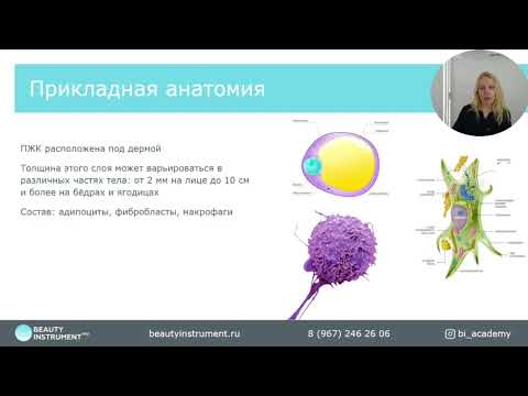 Видео: Sketch массаж WOW процедура с гарантированным результатом!