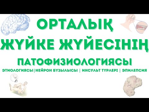 Видео: Орталық жүйке жүйесінің ПАТОФИЗИОЛОГИЯСЫ - этиологиясы, нейрон бұзылысы, инсульттер, эпилепсия