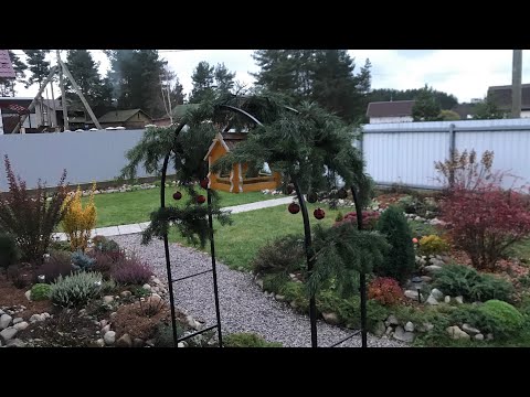 Видео: Прогулка по цветнику🌿🍁🍂Прекрасные осенние барбарисы 🍁🍂✂️Поработала парикмахером✂️🌿🍁 черенки🌿