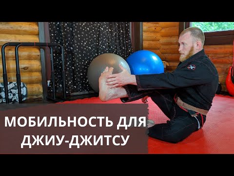 Видео: Мобильность для Джиу-джитсу | БЖЖ БЕЗ ПАРТНЕРА