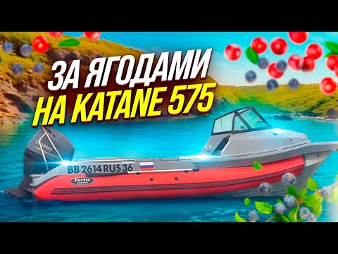 Видео: за ягодами на катане 575