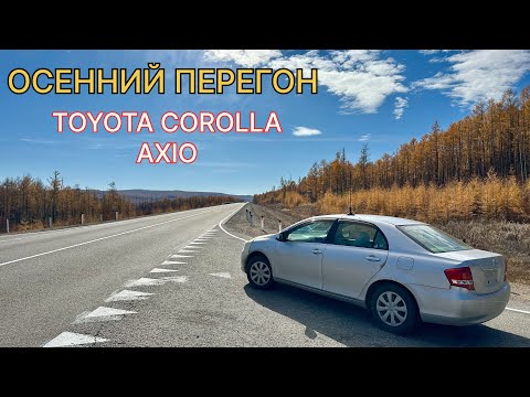 Видео: TOYOTA COROLLA осенний перегон