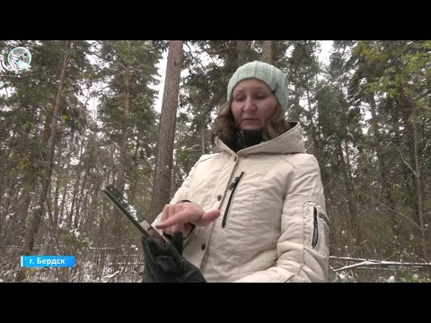Видео: НОВОСТИ БЕРДСКА – 10 октября 2025