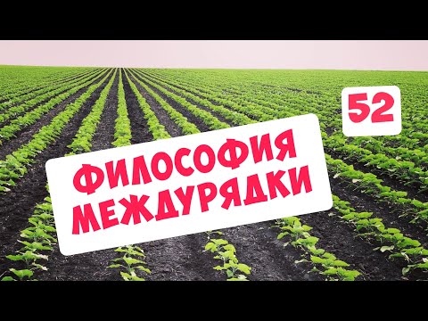 Видео: ФИЛОСОФИЯ МЕЖДУРЯДНОЙ КУЛЬТИВАЦИИ