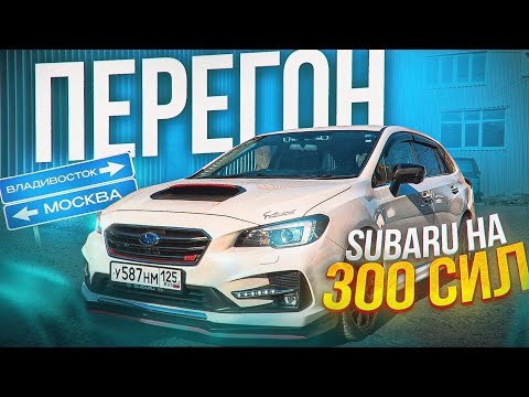 Видео: Приняли ДПС!!! ЗАТОПИЛО дорогу! ОТРАВИЛИСЬ при перегоне Subaru levorg???