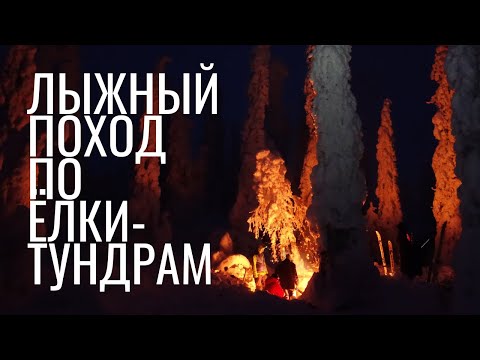 Видео: Лыжная единичка в Елки-тундры