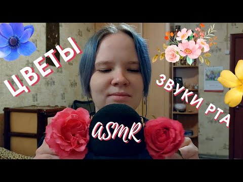 Видео: АСМР заряжу на позитив цветами 💐 ASMR flowers and mouth sounds