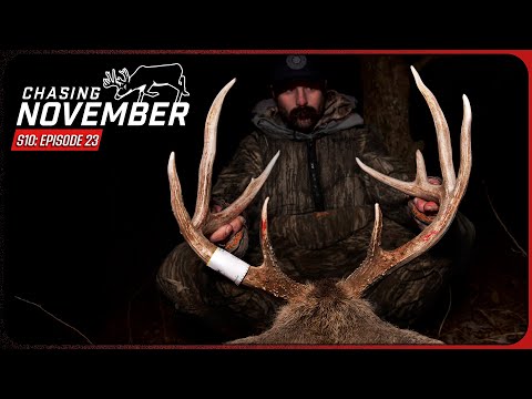 Видео: E23: 3 Buzzer Beater Bucks, начинается новый сезон | В погоне за ноябрьским сезоном 10