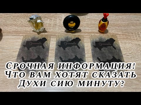 Видео: Срочная информация! Что вам хотят сказать Духи сию минуту? Гадание на Худу таро Hoodoo Tarot