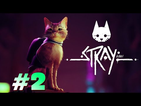 Видео: АНТОША ПРОХОДИТ ИГРУ ПРО КОТИКА | Stray #2