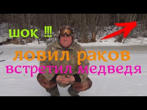 Видео: Встреча с медведем на очередной проверке рачевни!