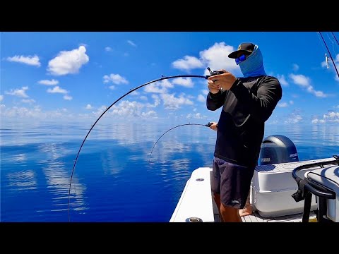 Видео: Медленная джиговая приманка: идеальный день