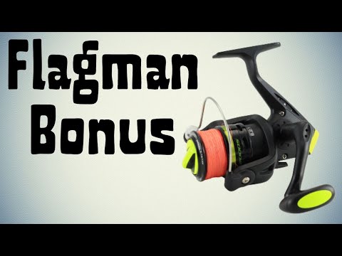 Видео: ДЕШЕВАЯ катушка на спиннинг. Flagman Bonus